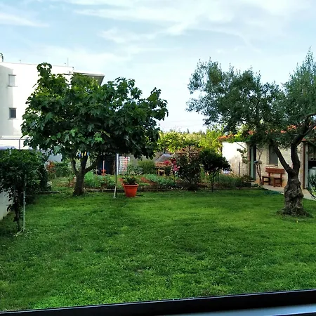 Apartment Riva David